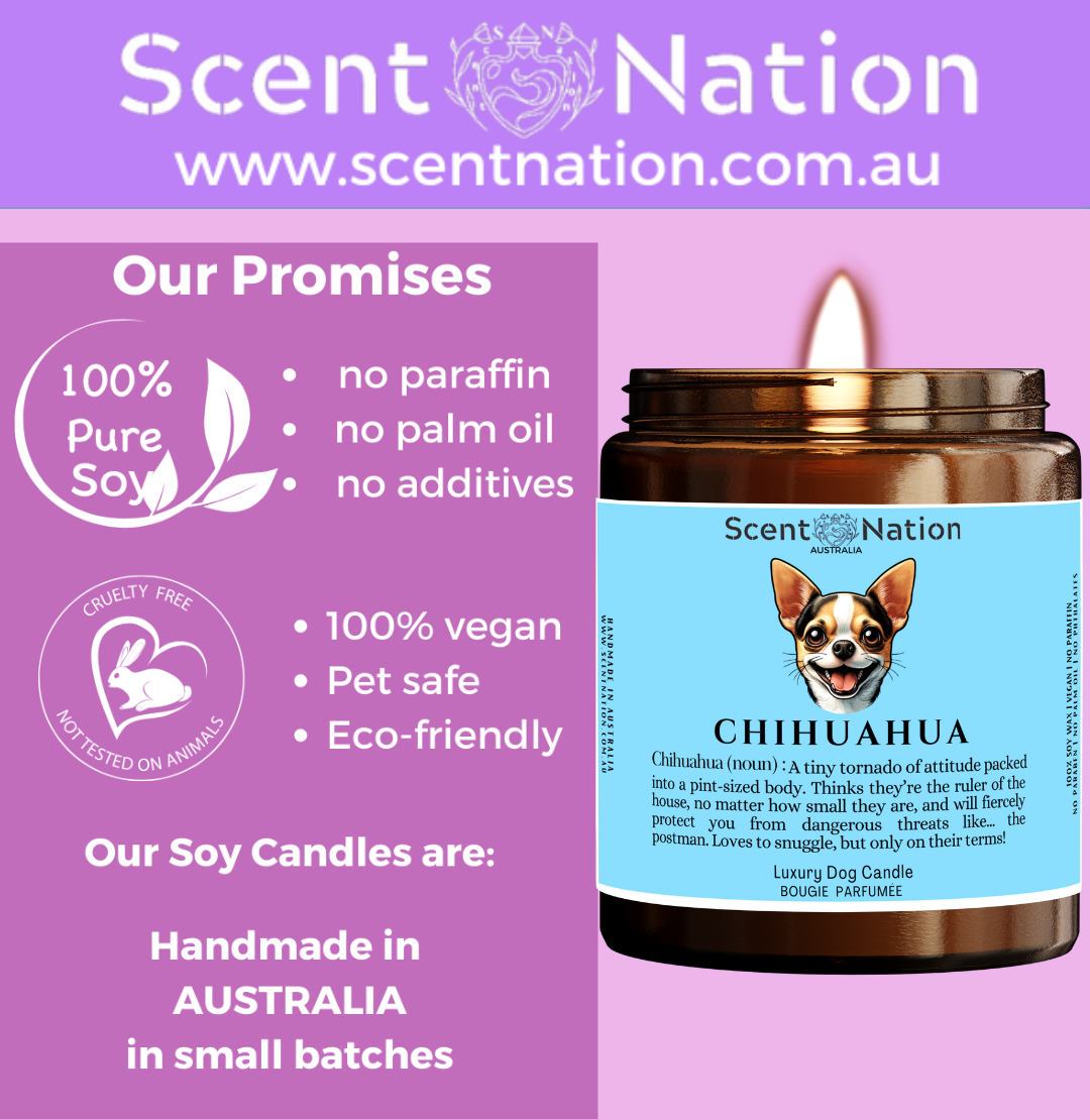 Eco-Friendly Soy Candles Australia gift to fur friends owners, Sustainable, pet-safe soy candles made in Australia.