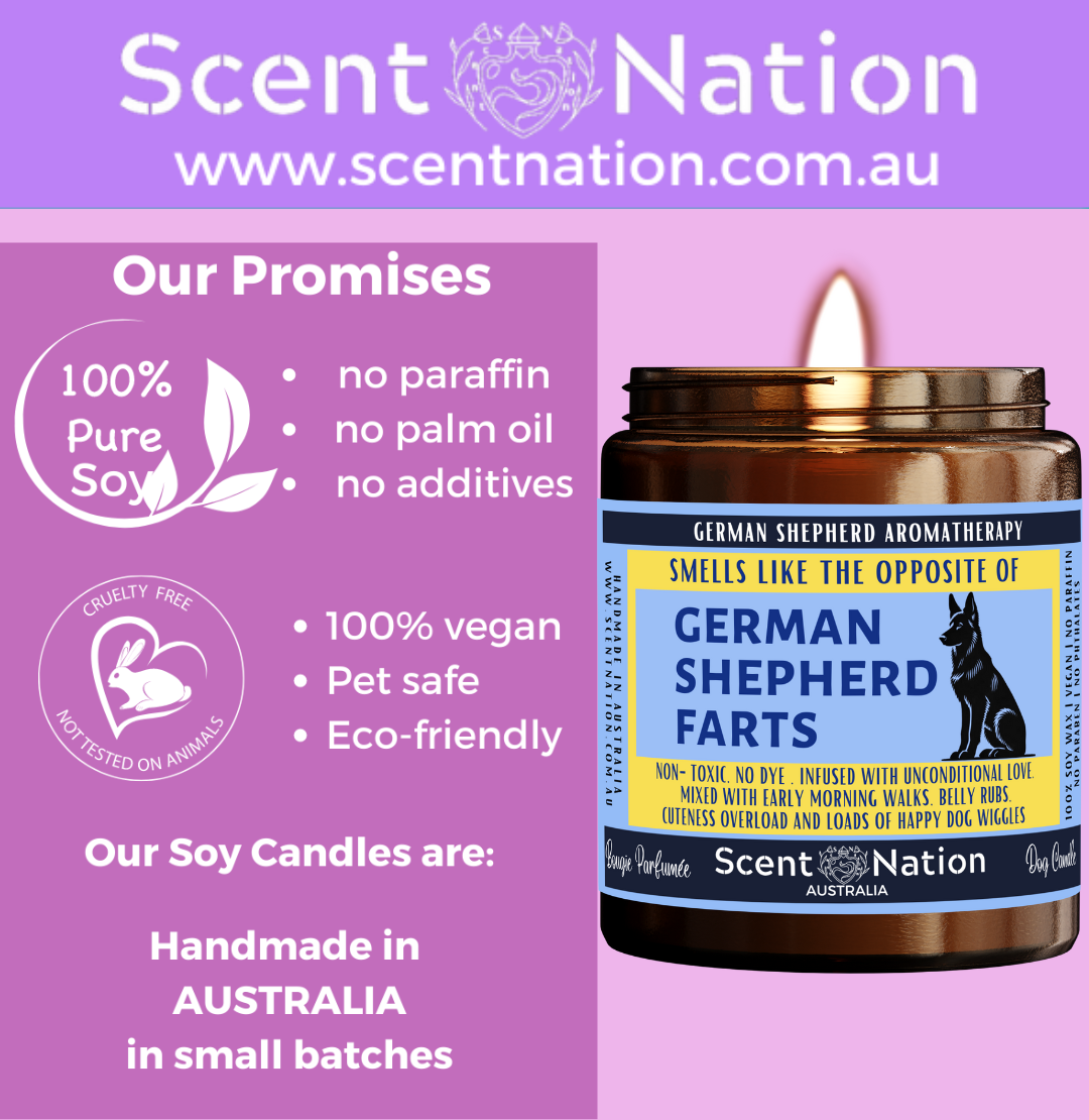 Australian Soy Candles, Soy Candles for Dog Lovers, Pet-Safe & Eco-Friendly Candles