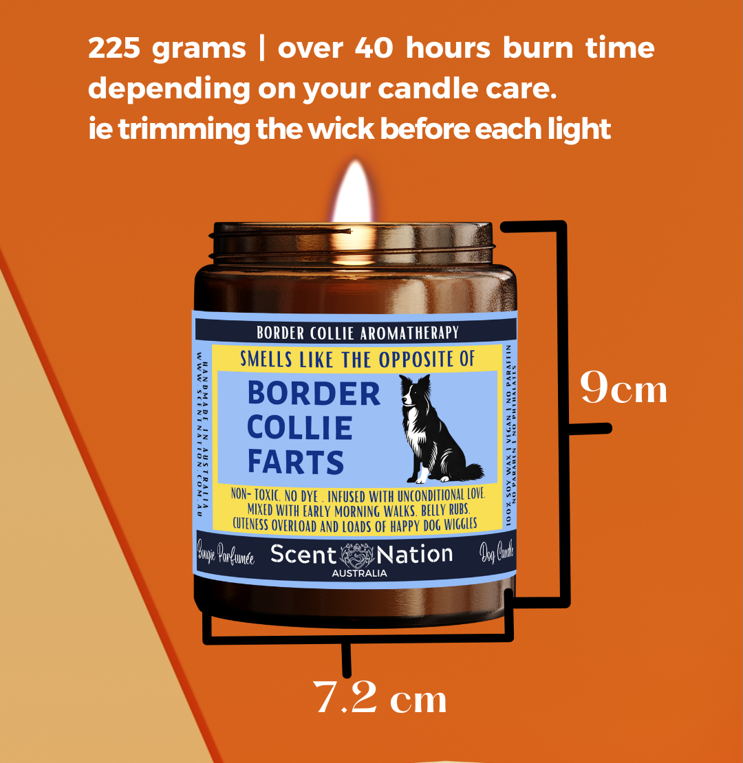 Pet-Friendly Home Décor Candles: Stylish, modern soy candles designed to fit in a dog lover’s home décor