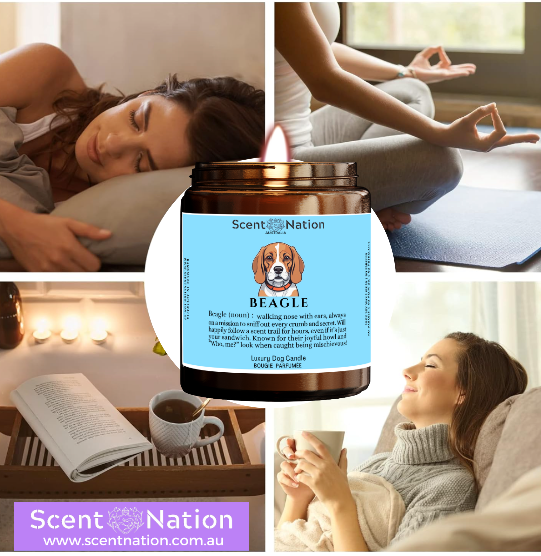 great CHRISTMAS gift for fur parents, BOXER owner friends, BOXER dog trainers, dog groomers