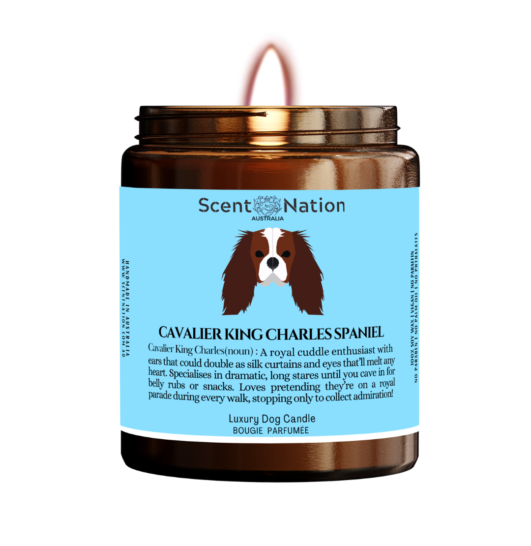 great CHRISTMAS gift for fur parents, furn owner friends, dog trainers, dog groomers