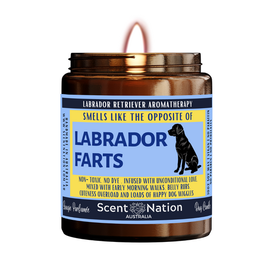 LABRADOR Dog Gifts - Dog Candle for Dog lovers in Australia