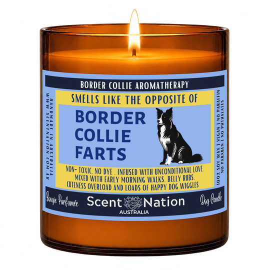Border collie gifts and presents – Border Collie Farts dog fart candle: lit Large 285 g soy candle in an amber jar, blue and yellow ‘Smells like the opposite of Border Collie farts’ label, Scent Nation Australia