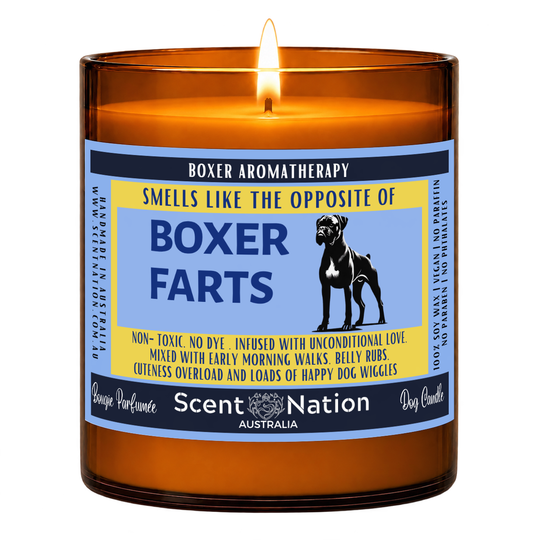 Boxer gifts for dog lovers – Boxer Farts dog fart candle: lit Large 285 g soy candle in an amber jar, blue and yellow ‘Smells like the opposite of Boxer farts’ label, Scent Nation Australia