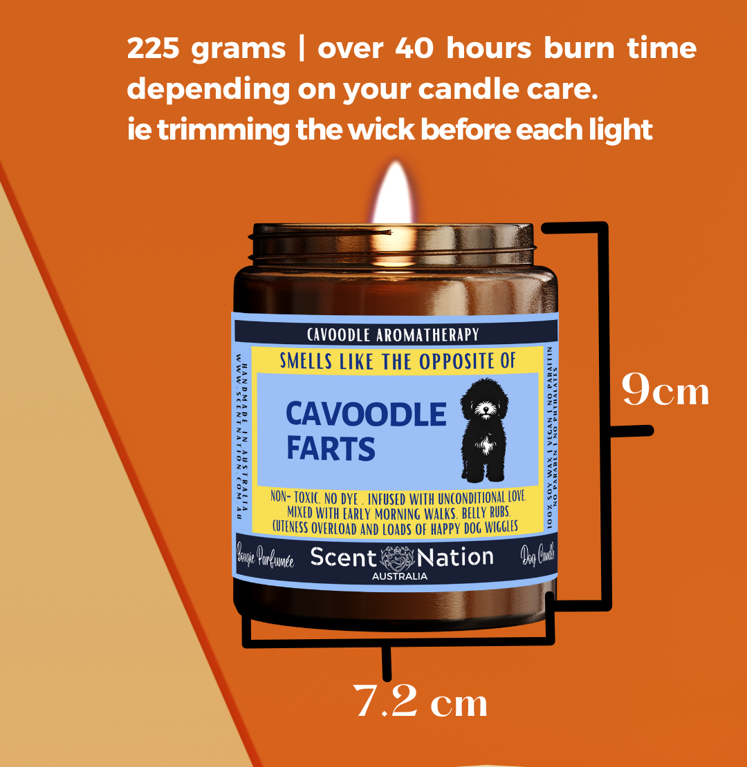 Pet-Friendly Home Décor Candles: Stylish, modern soy candles designed to fit in a dog lover’s home décor
