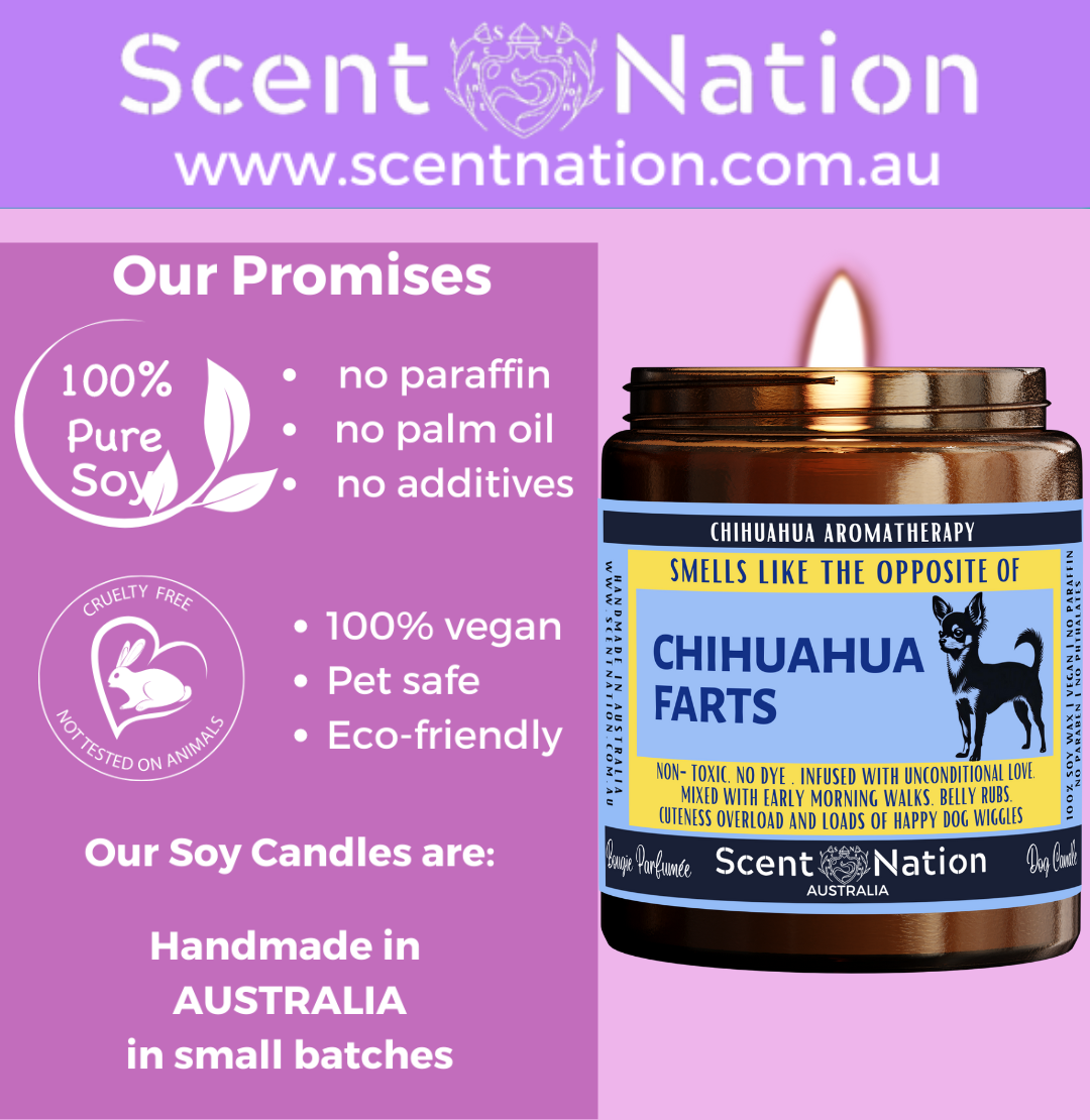 Australian Soy Candles, Soy Candles for Dog Lovers, Pet-Safe & Eco-Friendly Candles