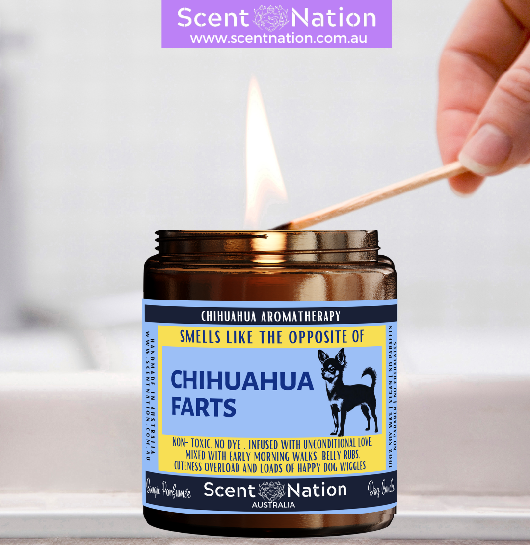 great CHRISTMAS gift for fur parents, CHIHUAHUA owner friends, CHIHUAHUA dog trainers, dog groomers