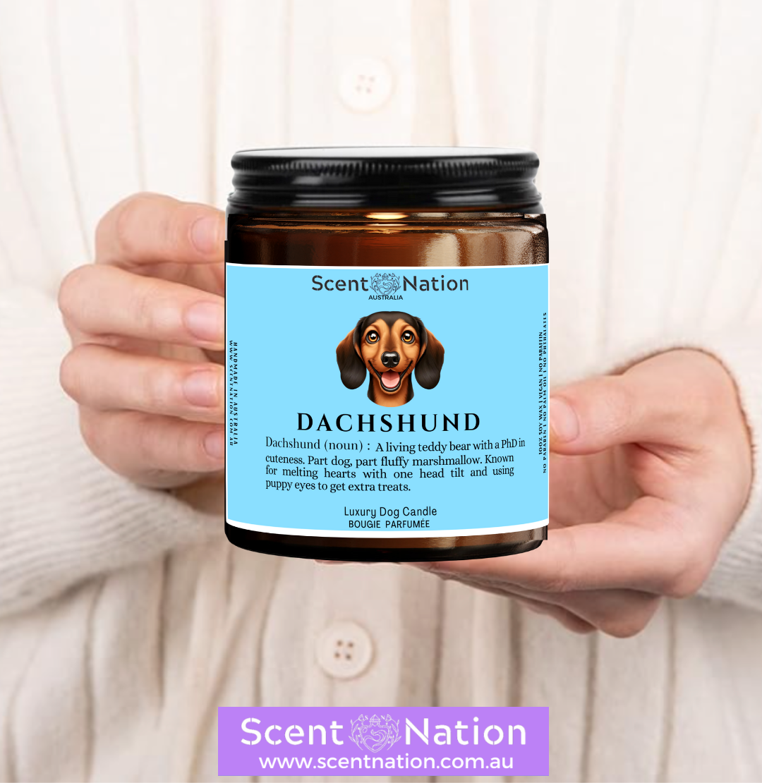 Non-Toxic Candles for Dog Owners, Sustainable Soy Candles for Pet Lovers, Calming Soy Candles for Dog Owners, Dog Groomers, Dog lovers