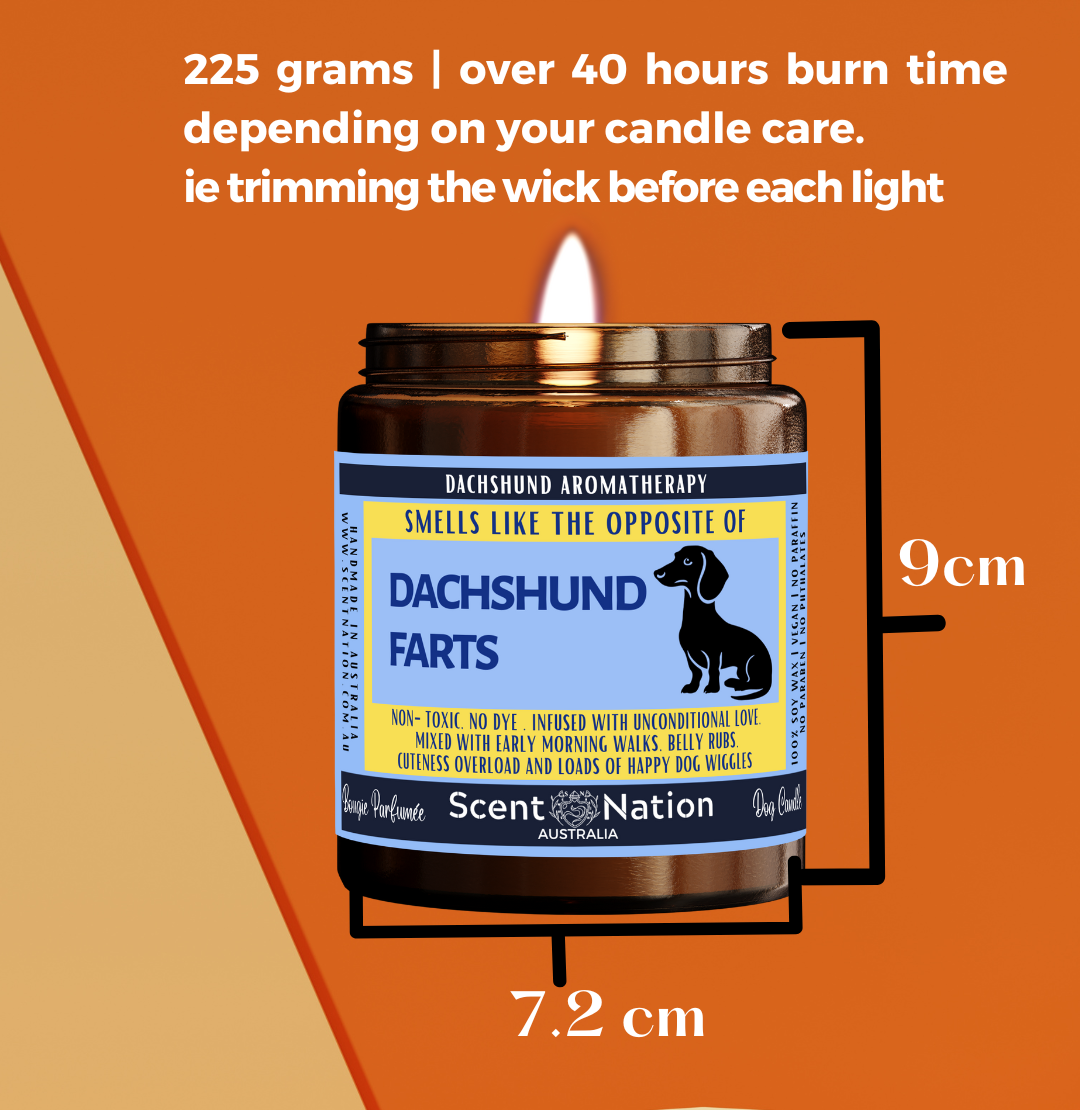 Pet-Friendly Home Décor Candles: Stylish, modern soy candles designed to fit in a dog lover’s home décor