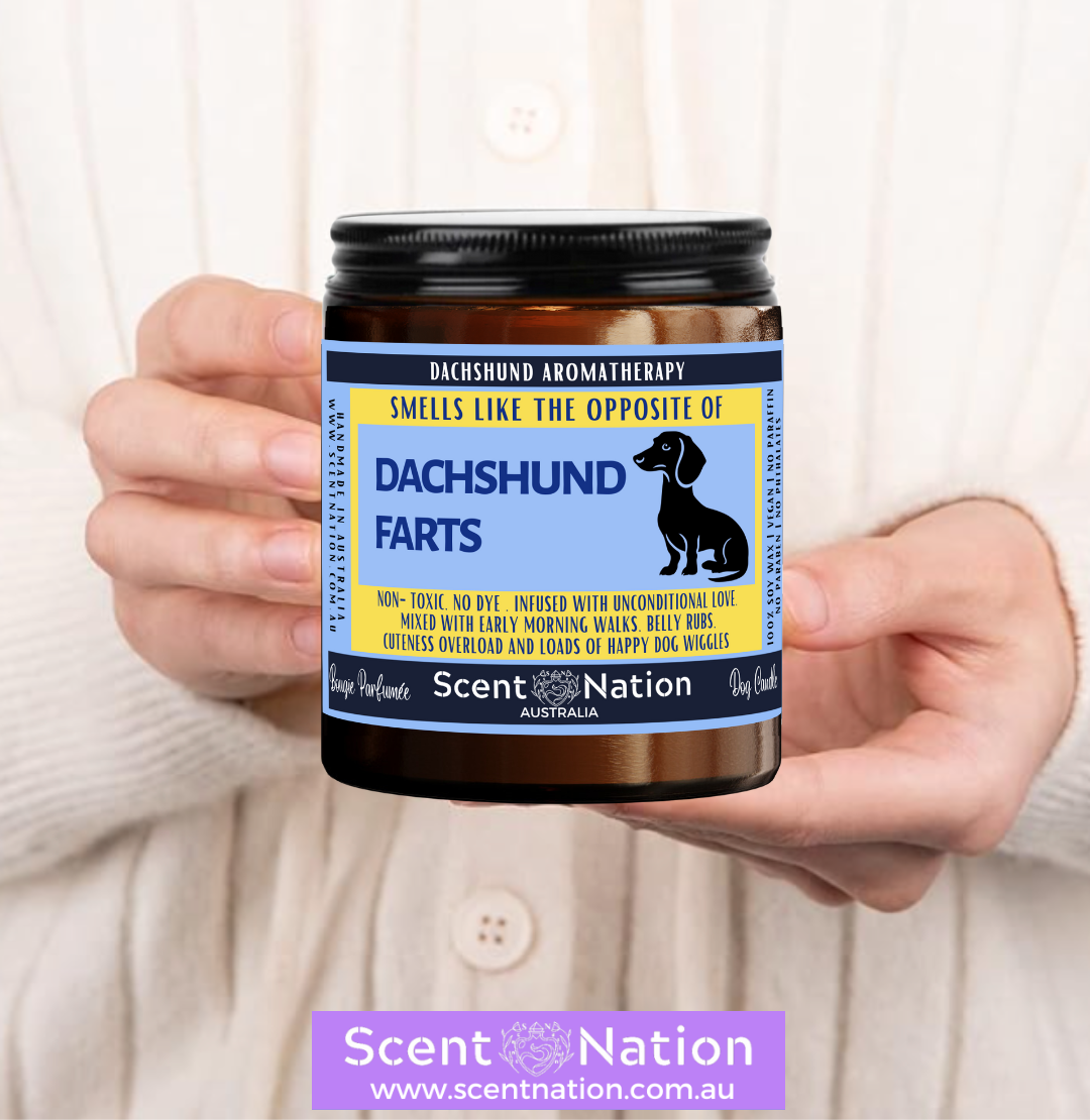 Non-Toxic Candles for Dog Owners, Sustainable Soy Candles for Pet Lovers, Calming Soy Candles for Dog Owners, Dog Groomers, Dog lovers