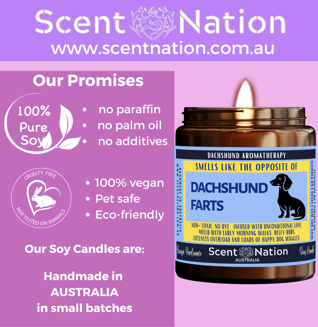 Australian Soy Candles, Soy Candles for Dog Lovers, Pet-Safe & Eco-Friendly Candles
