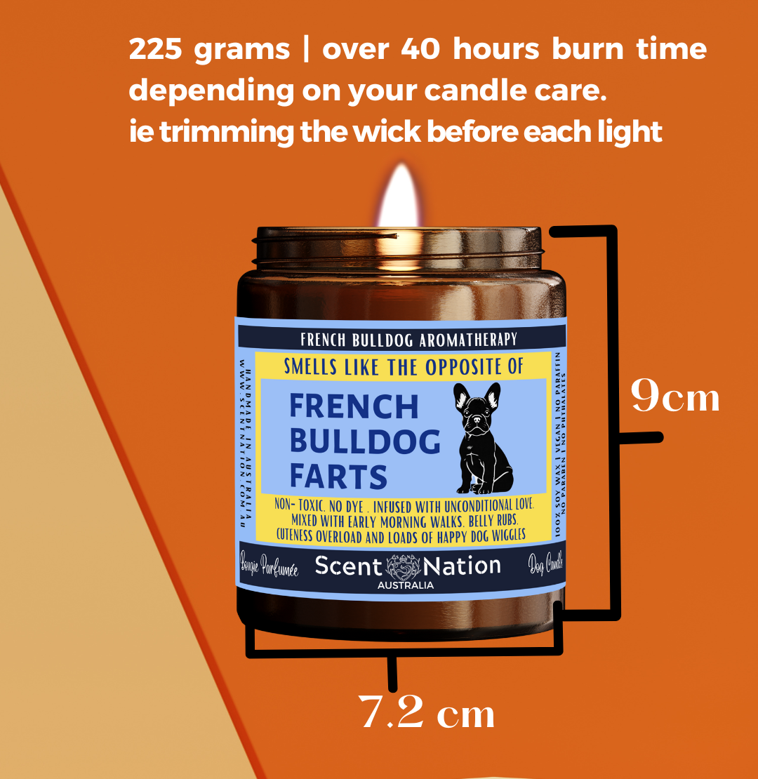 Pet-Friendly Home Décor Candles: Stylish, modern soy candles designed to fit in a dog lover’s home décor