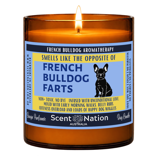 Frenchie dog gifts – French Bulldog Farts dog fart candle: lit Large 285 g soy candle in an amber jar, blue and yellow ‘Smells like the opposite of French Bulldog farts’ label, Scent Nation Australia