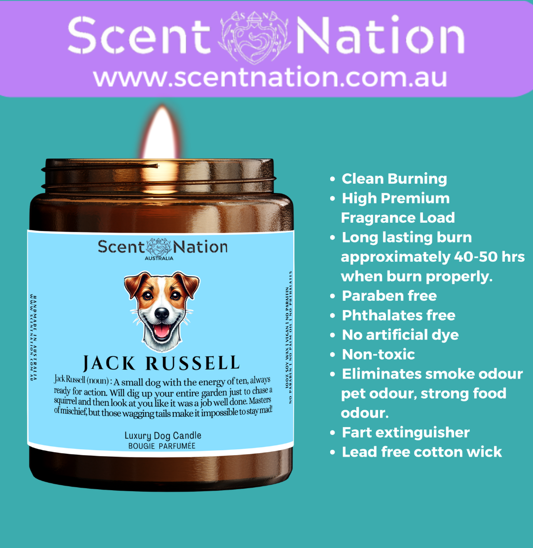 Non-Toxic Candles for Dog Owners, Sustainable Soy Candles for Pet Lovers, Calming Soy Candles for Dog Owners