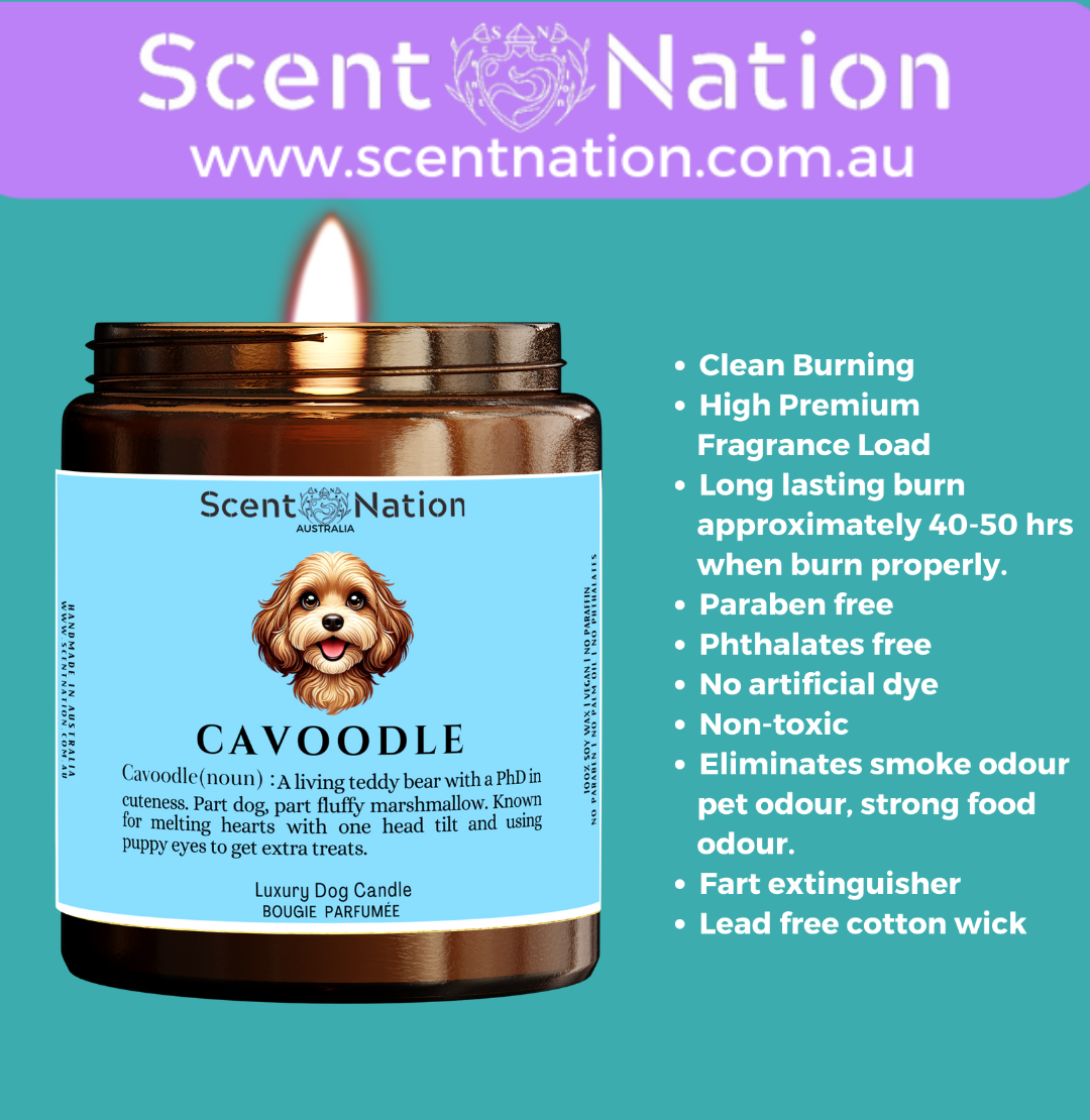 Non-Toxic Candles for Dog Owners, Sustainable Soy Candles for Pet Lovers, Calming Soy Candles for Dog Owners