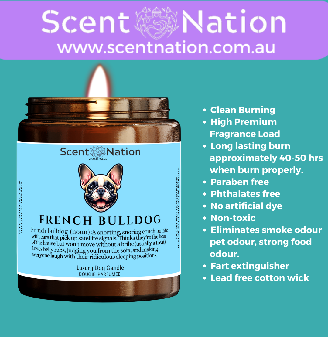 Non-Toxic Candles for Dog Owners, Sustainable Soy Candles for Pet Lovers, Calming Soy Candles for Dog Owners