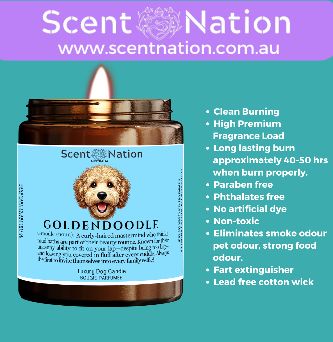 Non-Toxic Candles for Dog Owners, Sustainable Soy Candles for Pet Lovers, Calming Soy Candles for Dog Owners