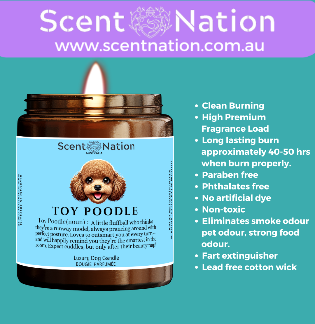 Non-Toxic Candles for Dog Owners, Sustainable Soy Candles for Pet Lovers, Calming Soy Candles for Dog Owners