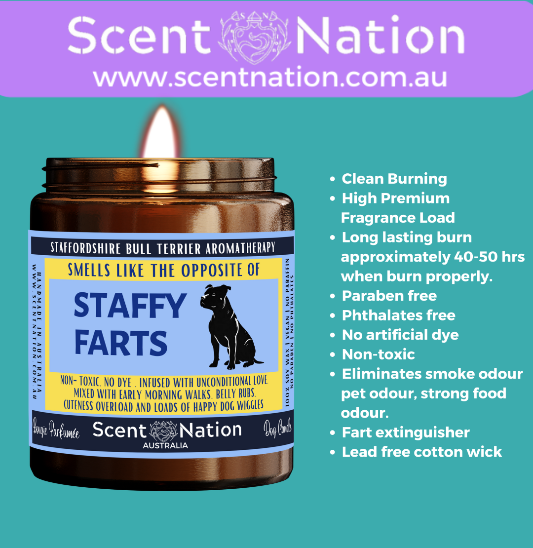 Non-Toxic Candles for Dog Owners, Sustainable Soy Candles for Pet Lovers, Calming Soy Candles for Dog Owners