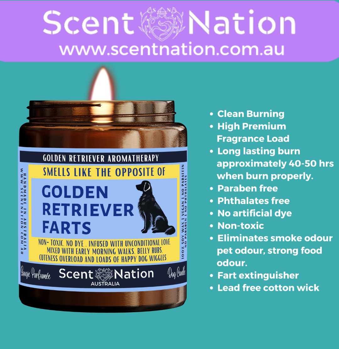 Non-Toxic Candles for Dog Owners, Sustainable Soy Candles for Pet Lovers, Calming Soy Candles for Dog Owners
