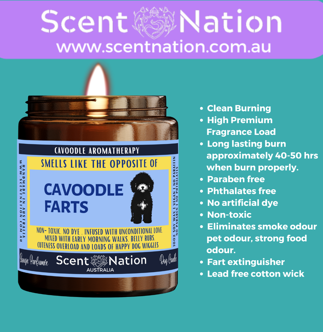 Non-Toxic Candles for Dog Owners, Sustainable Soy Candles for Pet Lovers, Calming Soy Candles for Dog Owners