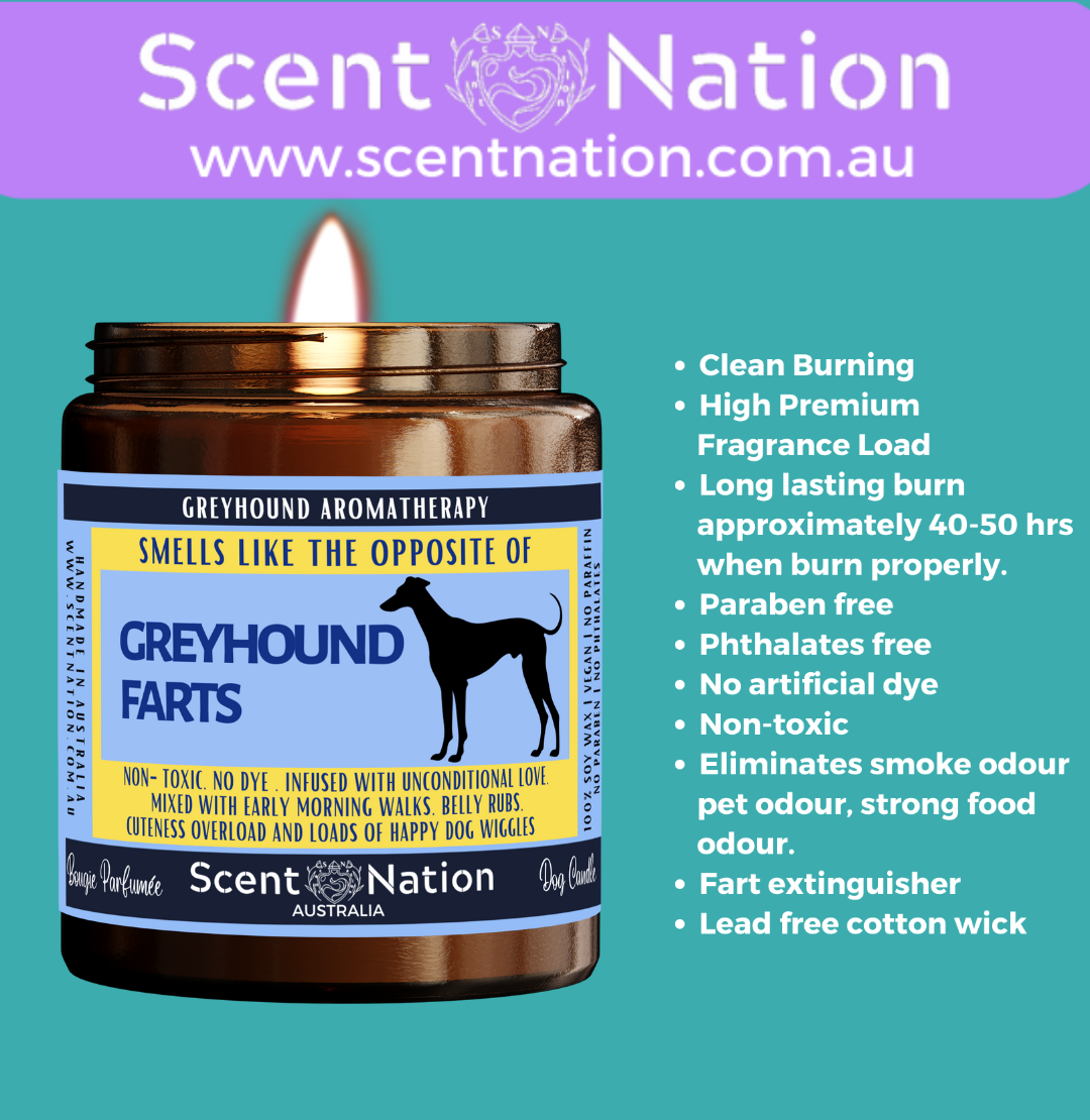 Non-Toxic Candles for Dog Owners, Sustainable Soy Candles for Pet Lovers, Calming Soy Candles for Dog Owners