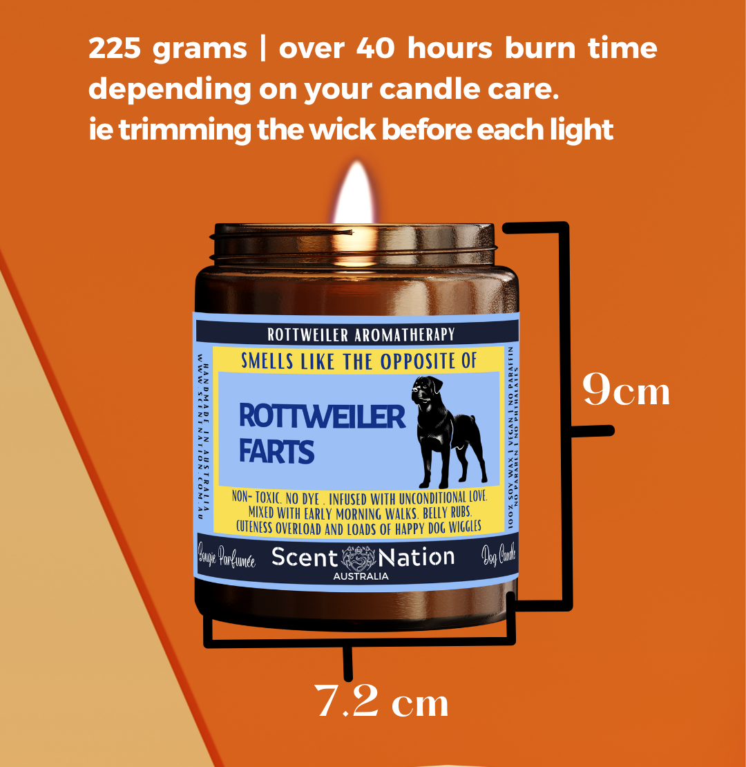 Pet-Friendly Home Décor Candles: Stylish, modern soy candles designed to fit in a dog lover’s home décor