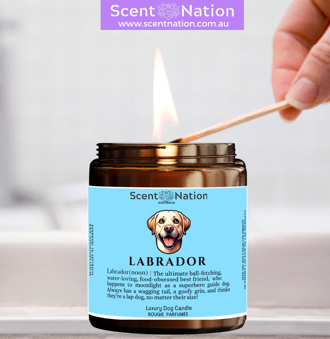 LABRADOR Dog Gifts Australia – Best LABRADOR Gifts for LABRADOR Owners | Personalised, Funny & Unique LABRADOR Themed Dog Candle (Dog Noun Candle)