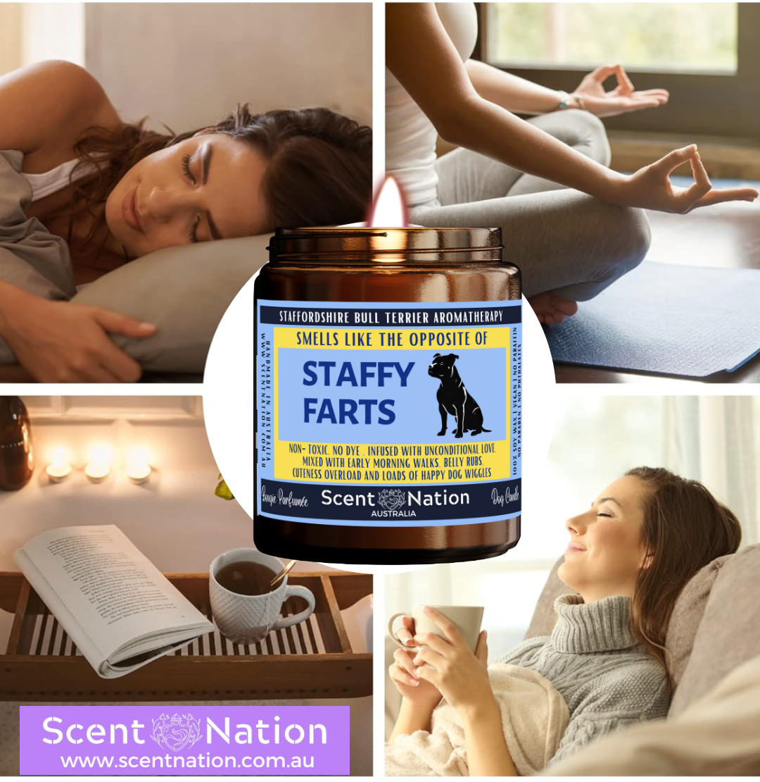 Unique birthday gift from your furry friend.to human, dog lovers, STAFFY FARTS owners gifts