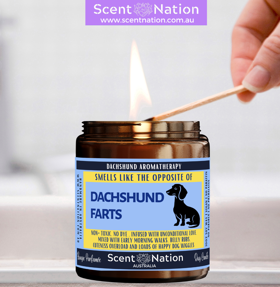 great CHRISTMAS gift for fur parents, DACHSHUND owner friends, DACHSHUND dog trainers, dog groomers