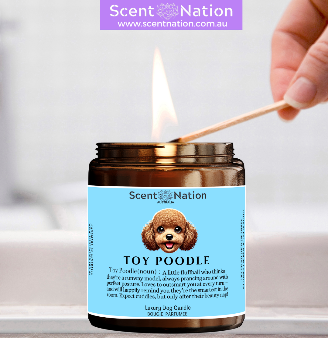 great CHRISTMAS gift for fur parents, TOY POODLE owner friends, TOY POODLE dog trainers, dog groomers