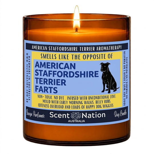 American Staffy gifts: American Staffordshire Terrier Farts candle, Large 285g amber soy jar with a blue and yellow label and a sitting Staffy silhouette, Scent Nation Australia