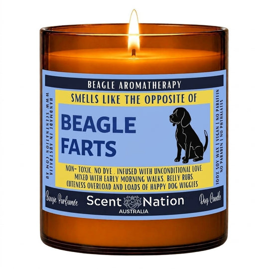 Beagle gifts: Beagle Farts aromatherapy candle, Large 285g amber soy jar with a blue and yellow label and a sitting Beagle silhouette, Scent Nation Australia