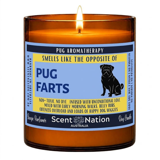 Pug gifts: Pug Farts aromatherapy candle, Large 285g amber soy jar with a blue and yellow label and a sitting Pug silhouette, Scent Nation Australia