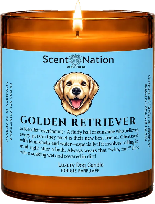 Dog breed gifts Australia – The Golden Retriever Candle, a Large 285g amber soy candle with a hand-drawn Golden Retriever portrait and a funny dictionary definition on a baby-blue label