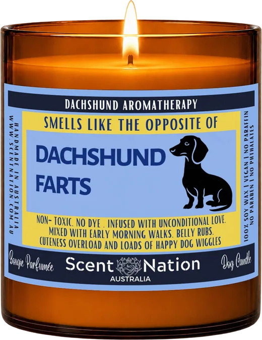 Sausage dog presents – The Dachshund Fart Candle, a Large 285g amber soy candle with a cheeky dachshund label that blames the dog, a funny gift for dachshund lovers