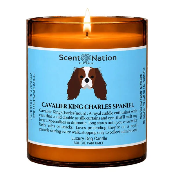 Cavalier King Charles Spaniel Dog Gifts – Cavalier King Charles Spaniel dog noun candle with a hand-drawn portrait and funny dictionary definition on a baby-blue label, Large 285g amber jar, for dog lovers in Australia