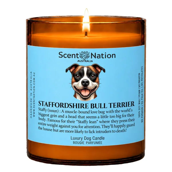 Staffy (Staffordshire Bull Terrier) Dog Gifts – Staffy (Staffordshire Bull Terrier) dog noun candle with a hand-drawn portrait and funny dictionary definition on a baby-blue label, Large 285g amber jar, for dog lovers in Australia