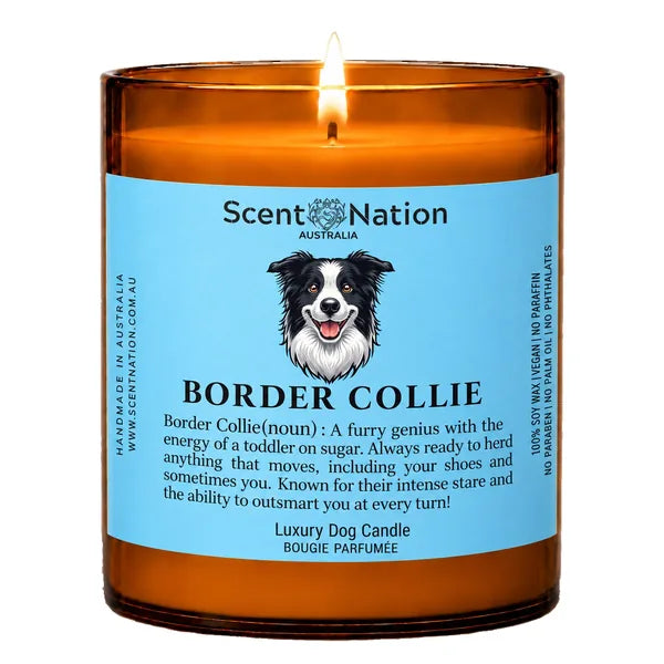 Border Collie Dog Gifts – Border Collie dog noun candle with a hand-drawn portrait and funny dictionary definition on a baby-blue label, Large 285g amber jar, for dog lovers in Australia
