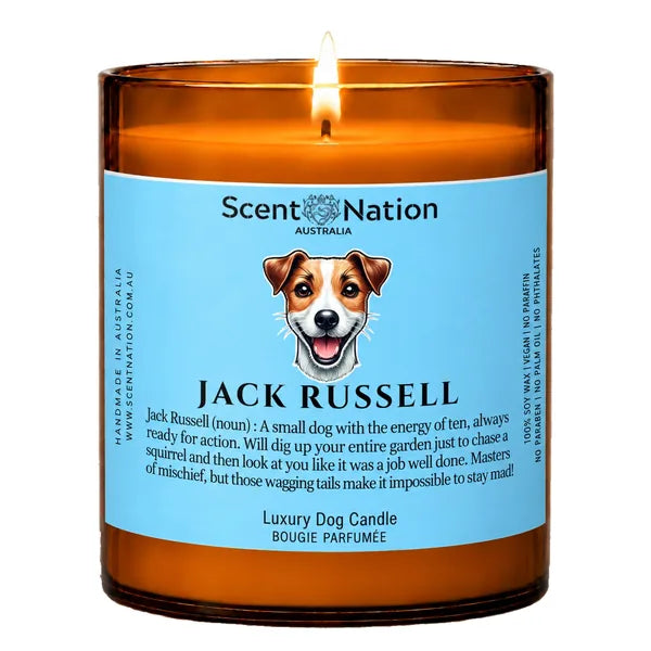 Jack Russell Dog Gifts – Jack Russell dog noun candle with a hand-drawn portrait and funny dictionary definition on a baby-blue label, Large 285g amber jar, for dog lovers in Australia