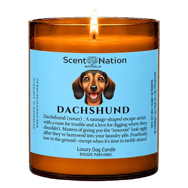 Dachshund Dog Gifts – Dachshund dog noun candle with a hand-drawn portrait and funny dictionary definition on a baby-blue label, Large 285g amber jar, for dog lovers in Australia