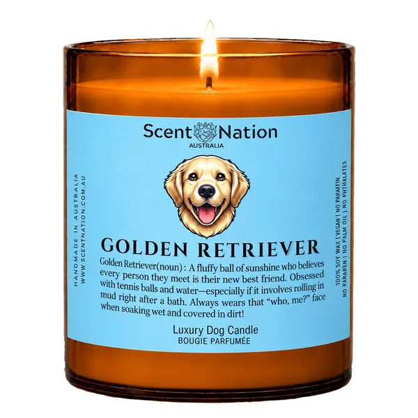 Golden Retriever Dog Gifts – Golden Retriever dog noun candle with a hand-drawn portrait and funny dictionary definition on a baby-blue label, Large 285g amber jar, for dog lovers in Australia