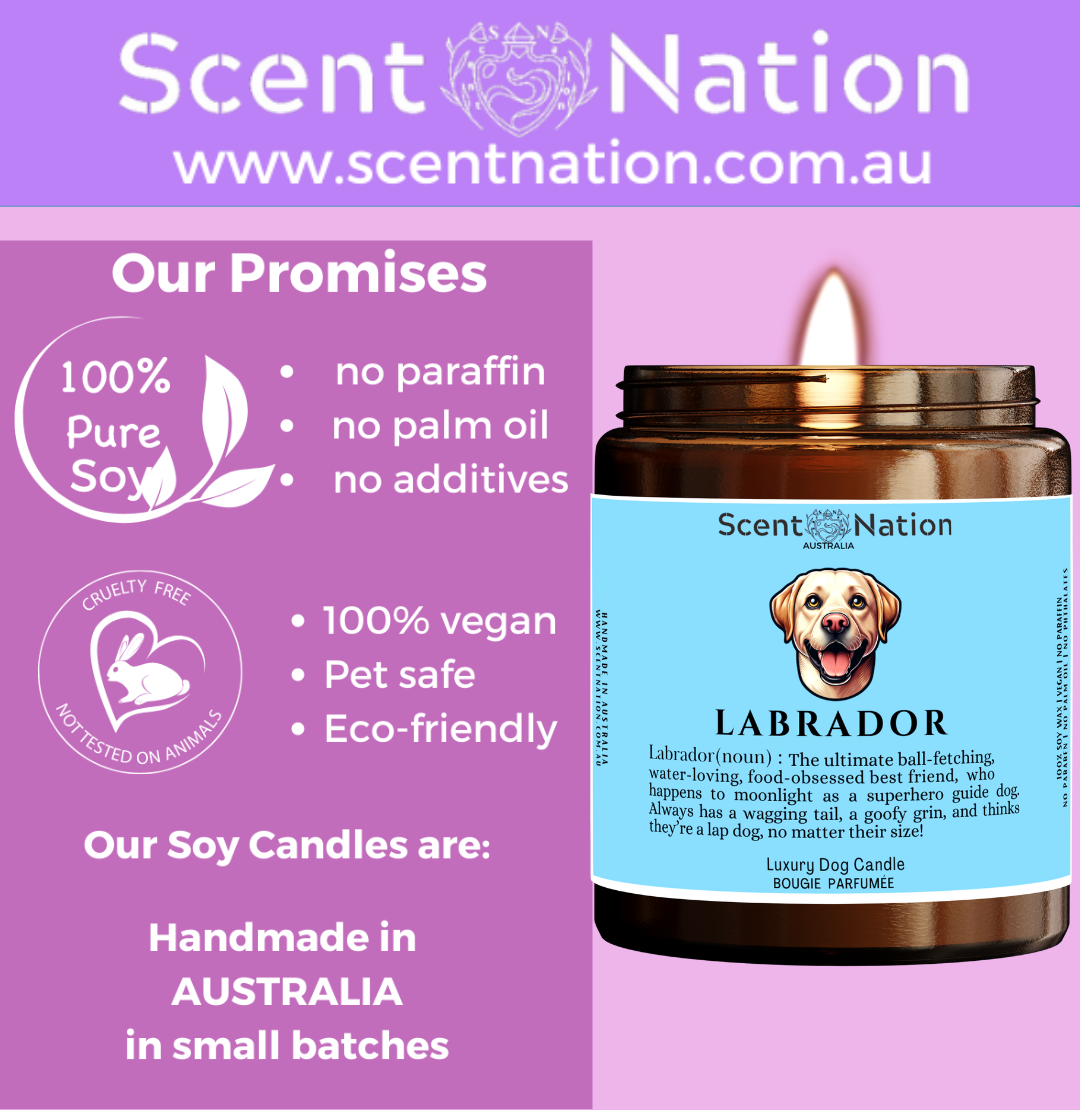 labrador DOG GIFT FOR HUMANS
