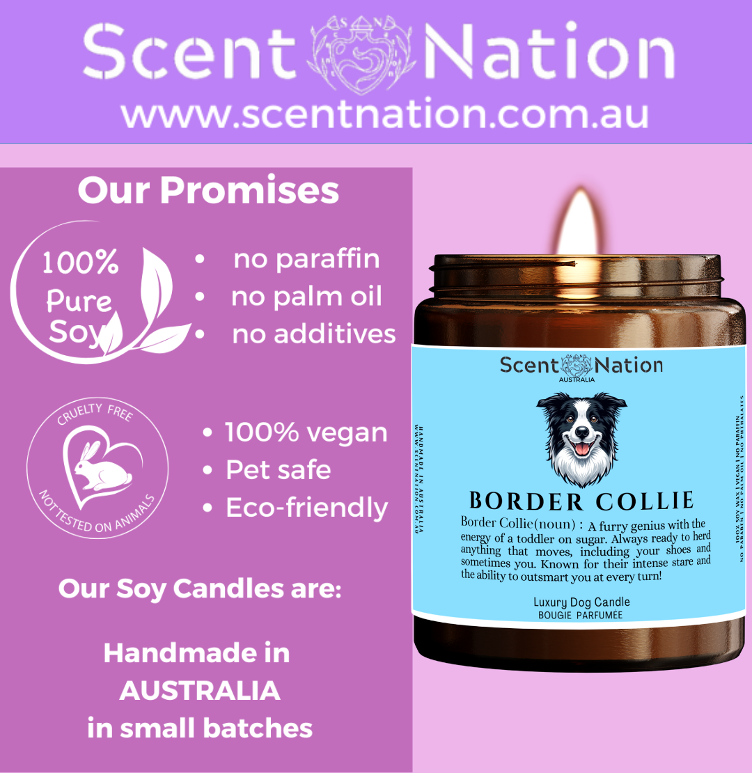 
Australian Soy Candles, Soy Candles for Dog Lovers, Pet-Safe & Eco-Friendly Candles
