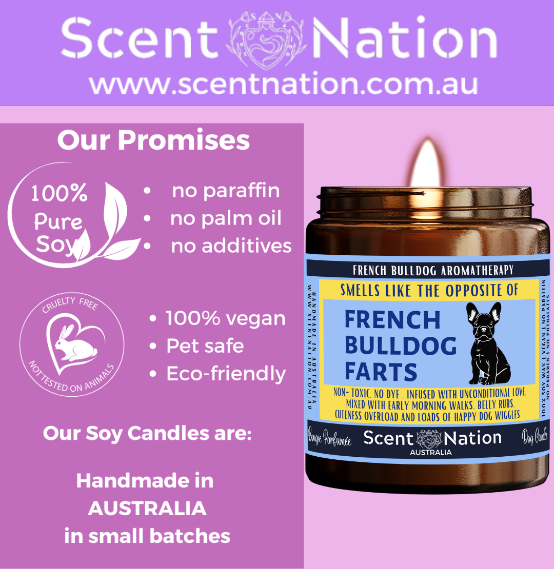 Australian Soy Candles, Soy Candles for Dog Lovers, Pet-Safe & Eco-Friendly Candles