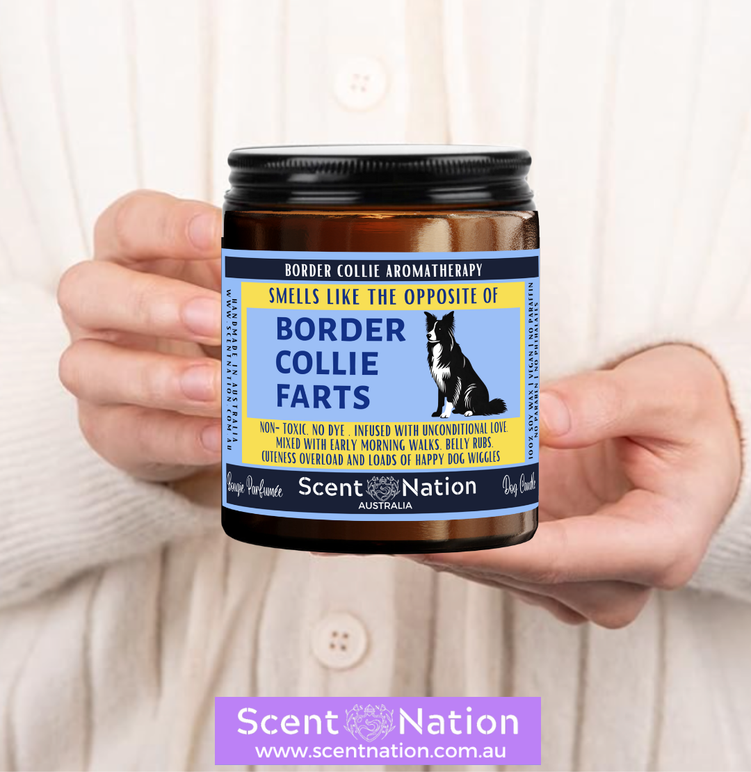 Non-Toxic Candles for Dog Owners, Sustainable Soy Candles for Pet Lovers, Calming Soy Candles for Dog Owners, Dog Groomers, Dog lovers