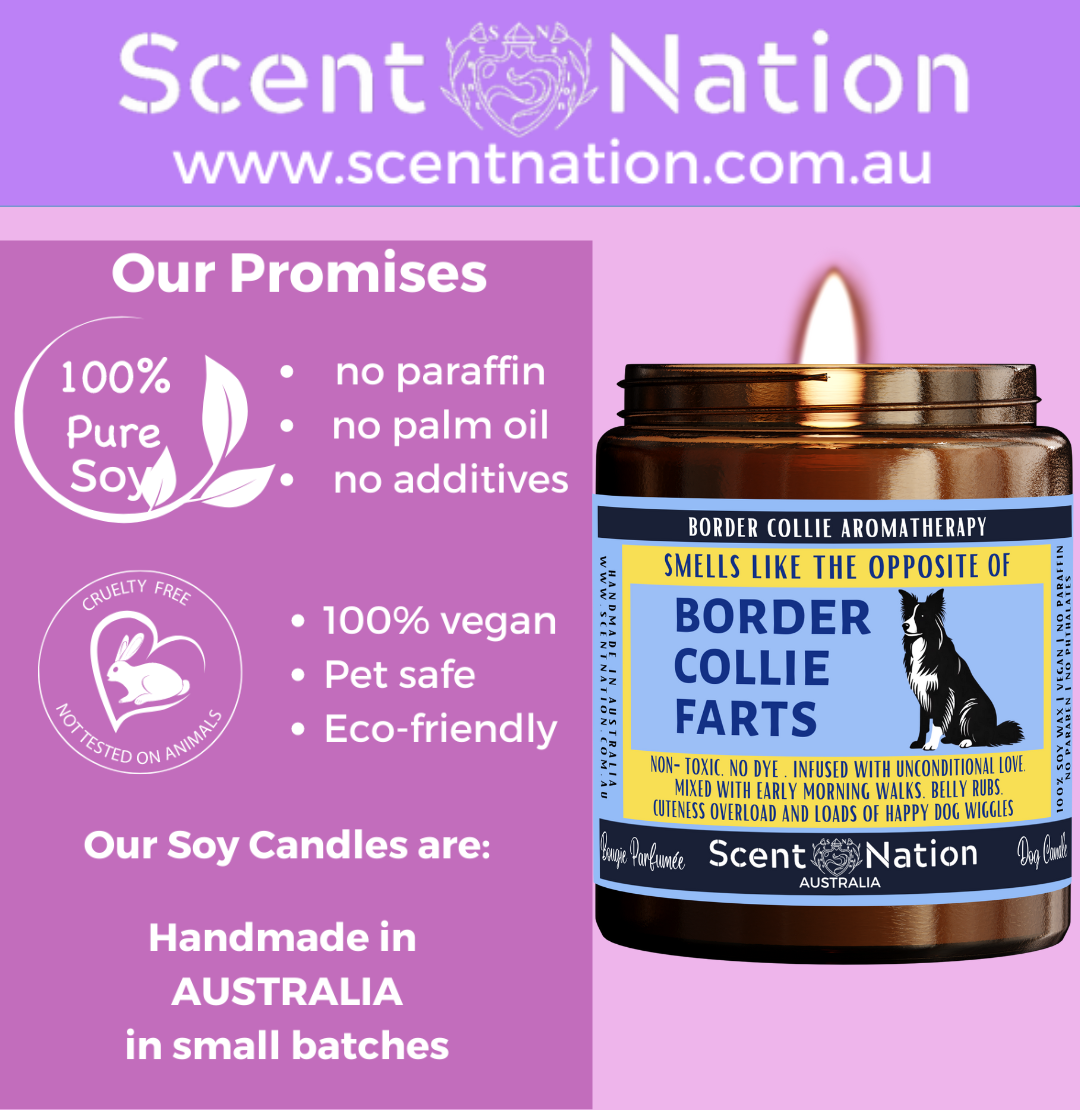 Australian Soy Candles, Soy Candles for Dog Lovers, Pet-Safe & Eco-Friendly Candles