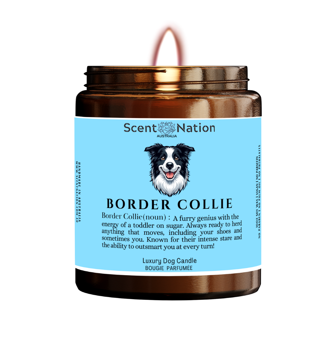 great CHRISTMAS gift for fur parents, BORDER COLLIE   owner friends, BORDER COLLIE   dog trainers, dog groomers