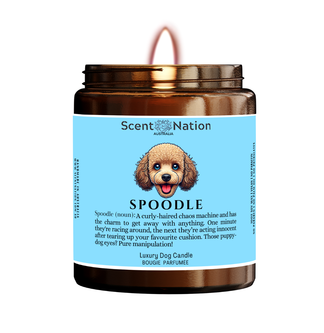 great CHRISTMAS gift for fur parents, SPOODLE DOG   owner friends, SPOODLE DOG   dog trainers, dog groomers