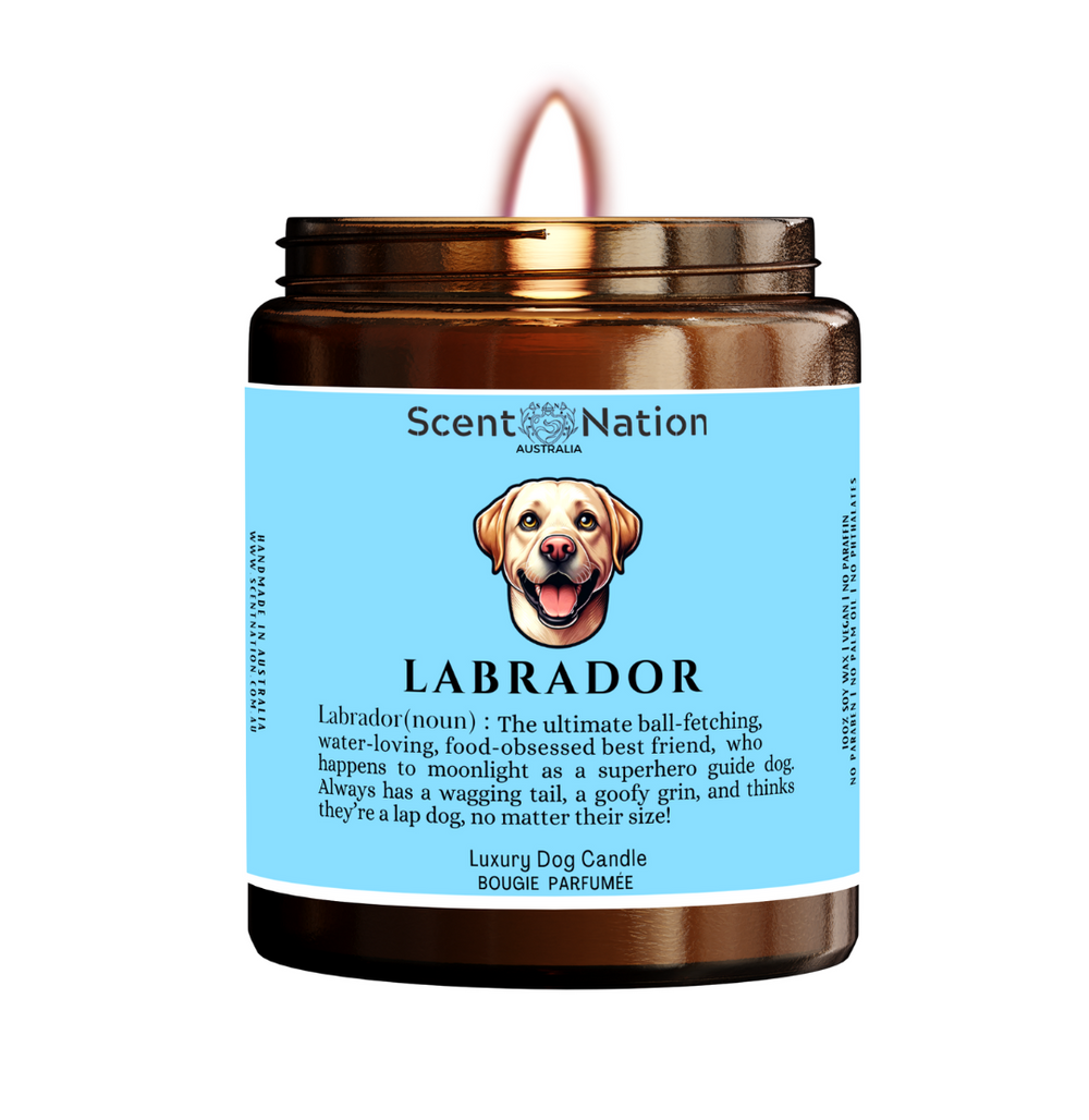 LABRADOR SOY CANDLE FOR DOGS